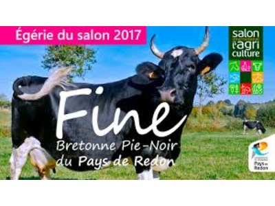 La Bretonne Pie Noir